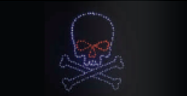 PIRATE SKULL 36" WIRE FRAME RICE LIGHT
