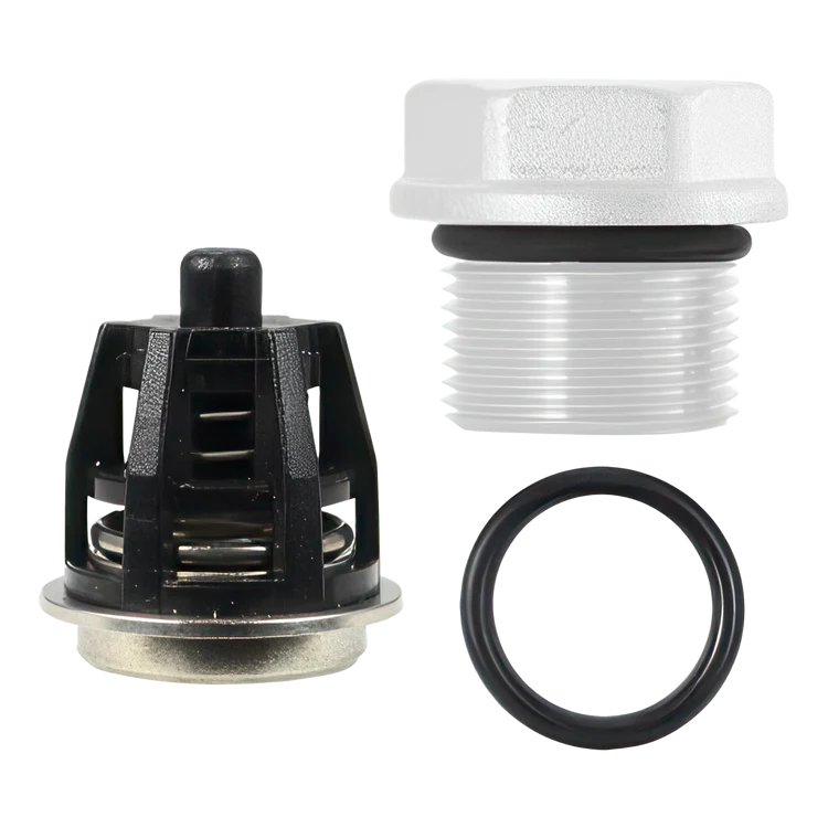 DOLLY KIT GP 01 CHECK VALVES *6 EA*